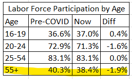 Labor Force Participation by Age